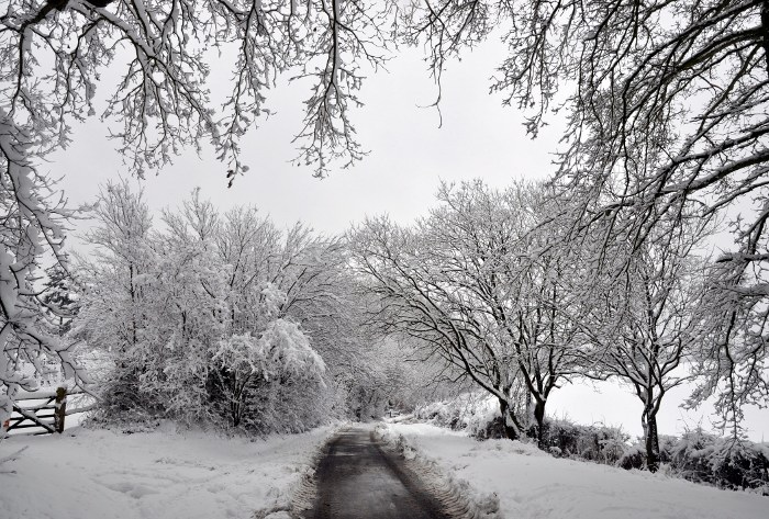 Parish Lane, Pease Pottage, under snow