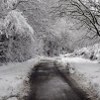 Parish Lane, Pease Pottage, under snow