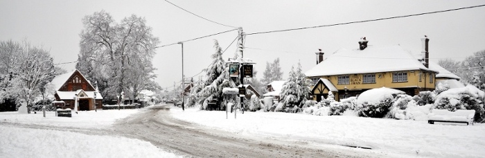 Black Swan in January 2010