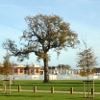 Woodgate housing estate village green