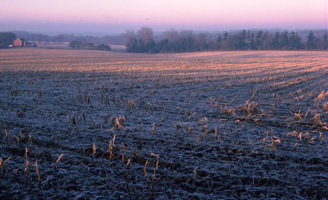 Grouse Road in winter