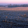 Grouse Road in winter