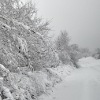 Old Brighton Road South, Pease Pottage